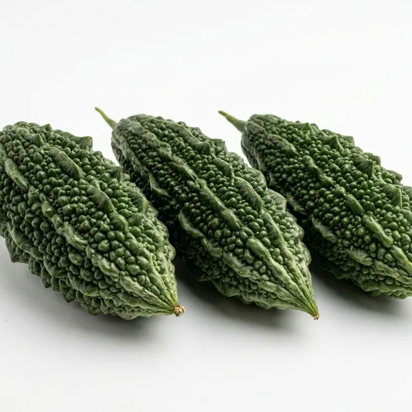 Bitter Gourd - قرع مر