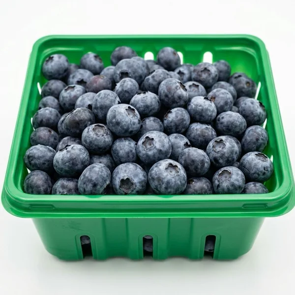 Blueberry - توت أزرق