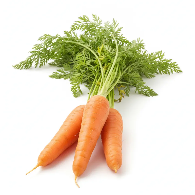 Fresh Carrots - جزر طازج