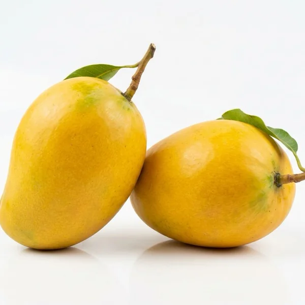 Coconut - جوز هند