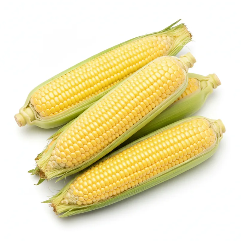 Sweet Corn - ذرة حلوة