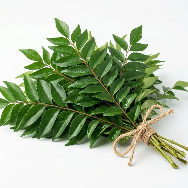 Curry Leaves - أوراق الكاري