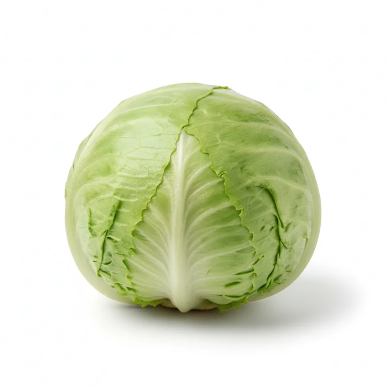 Iceberg Lettuce - خس آيسبرغ