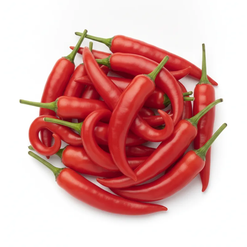 Red Chili Pepper - فلفل أحمر حار