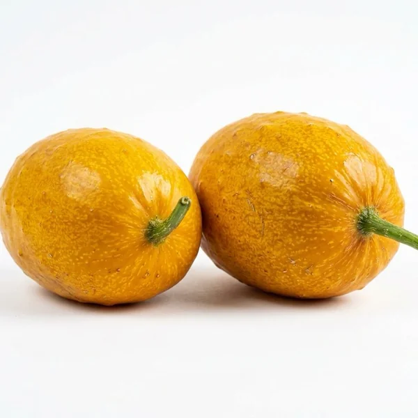 Yellow Indian Cucumber - خيار هندي أصفر